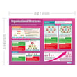 Organisational Structures Poster