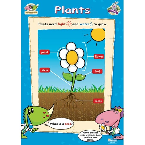 Plants Poster