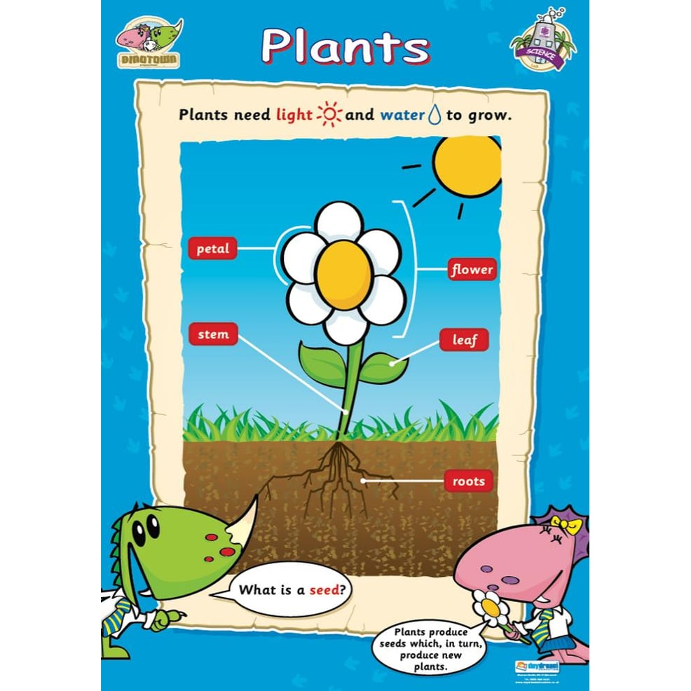 Plants Poster Daydream Education