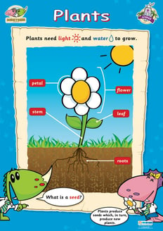 Plants Poster