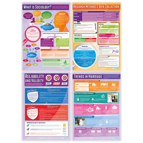 Sociology Posters - Set of 20 