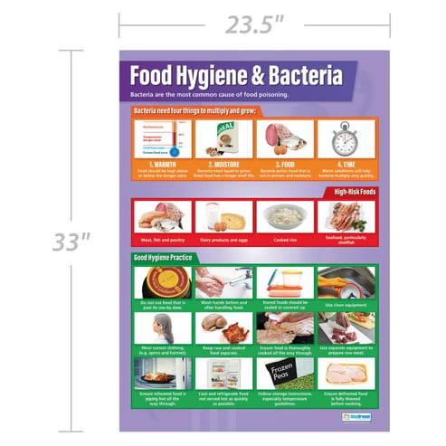 Food Hygiene and Bacteria Poster