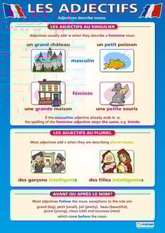 Les Adjectifs Poster