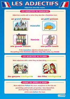 Les Adjectifs Poster