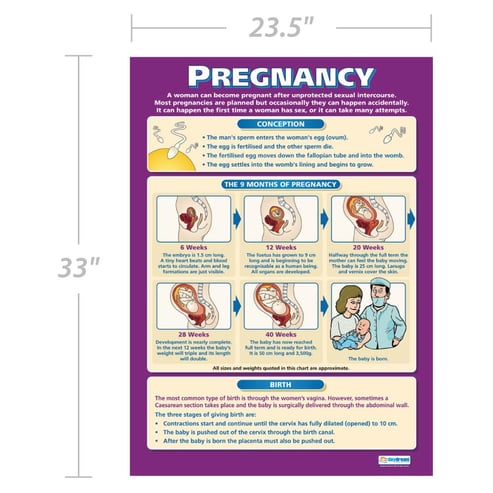 Pregnancy Poster