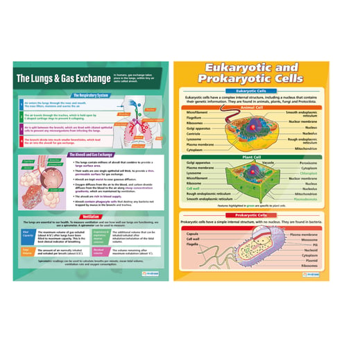 Biology A-Level Posters - Set of 6