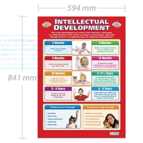 Intellectual Development Poster