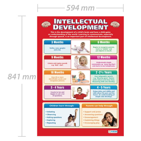 Intellectual Development Poster