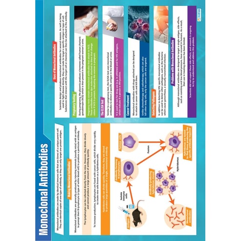 Monoclonal Antibodies Poster