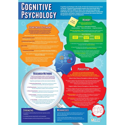 Cognitive Psychology Poster