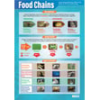 The Food Cycle & Food Chains Posters - Set of 2