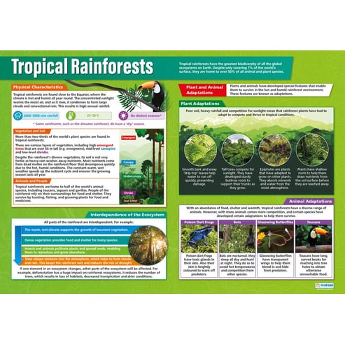 Tropical Environments Posters - Set of 3