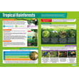 Tropical Environments Posters - Set of 3