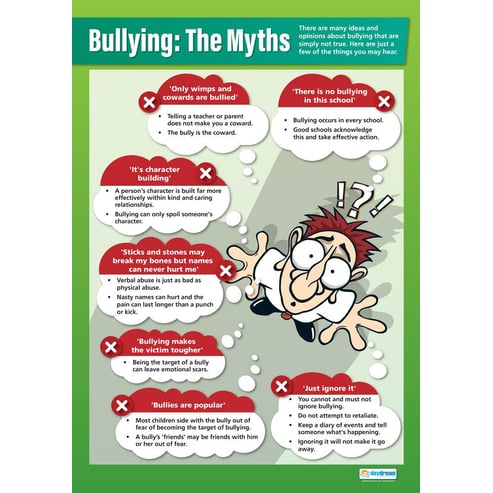 Bullying: The Myths Poster