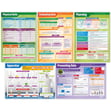 Working Scientifically Posters - Set of 5 - Daydream Education