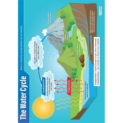 The Water Cycle Poster