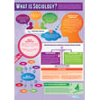 What is Sociology? Poster