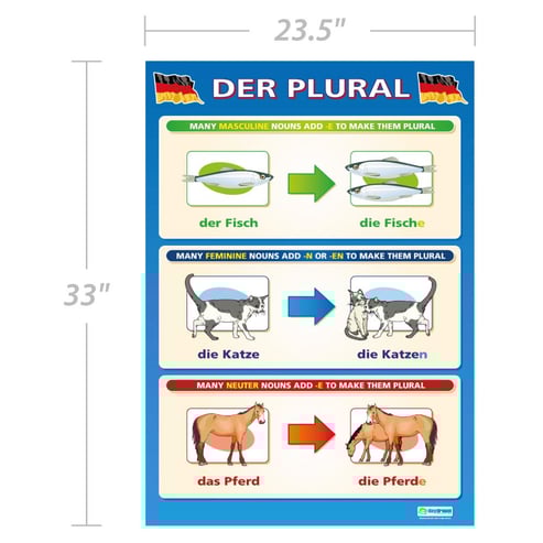 Der Plural Poster