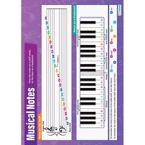 Musical Notes Poster