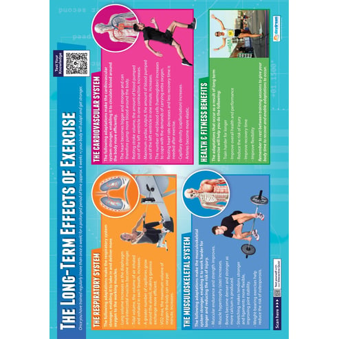 The Long-Term Effects of Exercise Poster