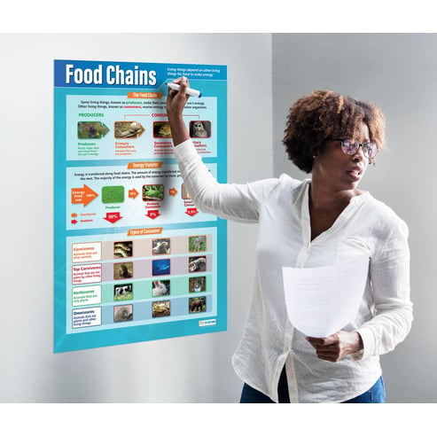 Food Chains Poster