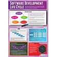 Developing a Solution Posters - Set of 4 