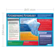 Psychodynamic Psychology Poster