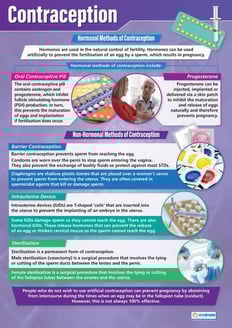 Contraception Poster