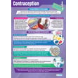 Contraception Poster