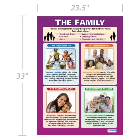 The Family Poster