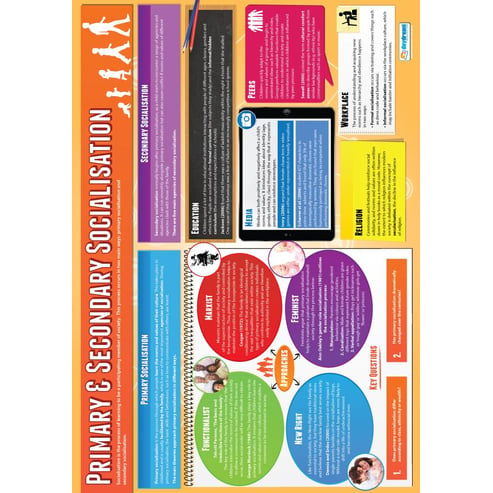 Primary & Secondary Socialization Poster