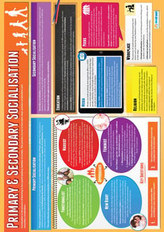 Primary & Secondary Socialization Poster