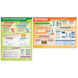 Chemical Changes Posters - Set of 4