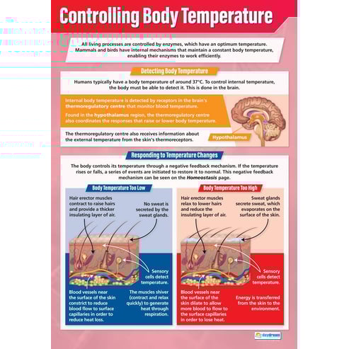 Controlling Body Temperature Poster
