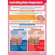 Controlling Body Temperature Poster