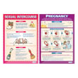 Puberty and Sex Posters - Set of 8 