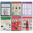 History Posters - Set of 19