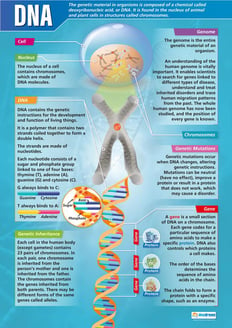 DNA Poster