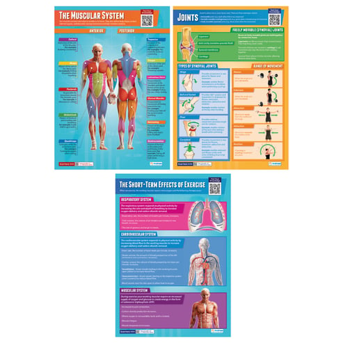 Applied Anatomy & Physiology Posters - Set of 9