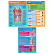 Applied Anatomy & Physiology Posters - Set of 9