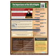 Bill of Rights Posters - Set of 2