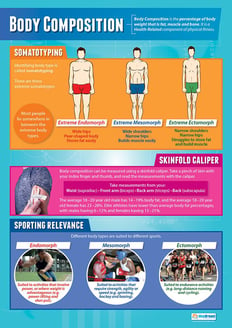 Body Composition Poster