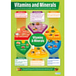 Vitamins and Minerals Poster