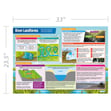 River Landforms Poster