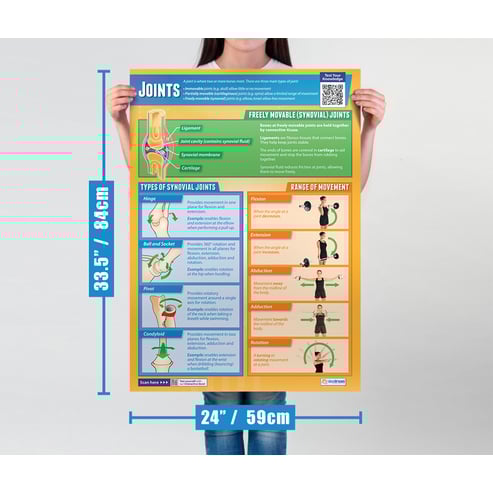 Joints Poster