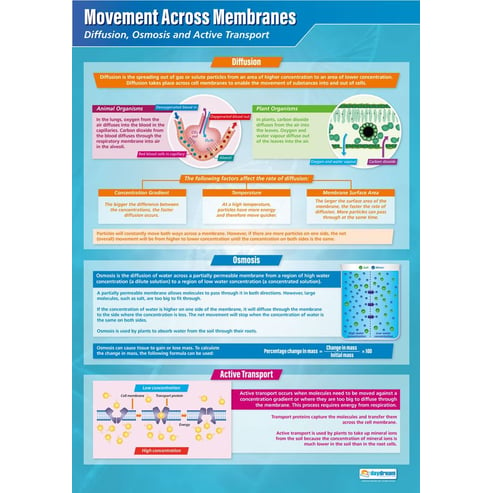 Movement Across Membranes Poster