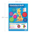 Urbanisation in the UK Poster