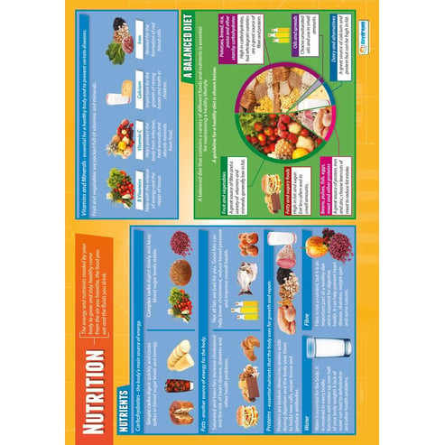 Nutrition Poster - Daydream Education