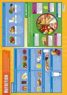 Nutrition Poster