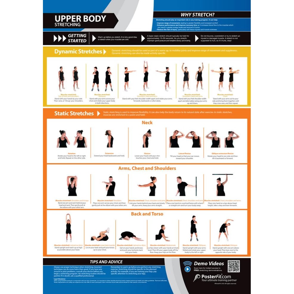 Upper Body Stretching Poster - Innovative Gym & Fitness Charts